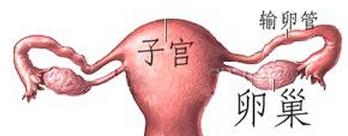 ������������������Щ��ʽ