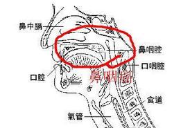 ���Ʊ��ʰ��ķ���