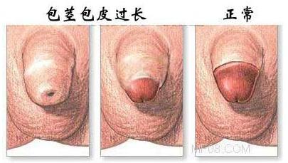 Ԥ