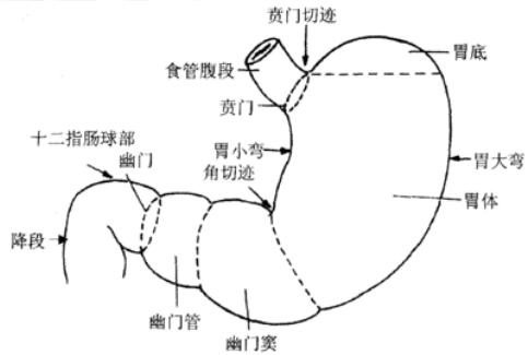 ���Ű����������ҽ����ԭ��