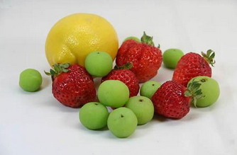 ���Ű���������ע������