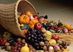 ȫθ�г����Ű����ߵ���ʳ