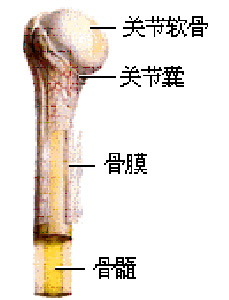 ǰҽƽ