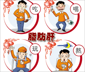 肝是人体“化学加工厂” 肝是人体“化学加工厂”