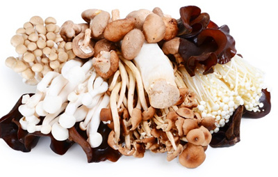 ���Ű�������ȷ��ʳ��������