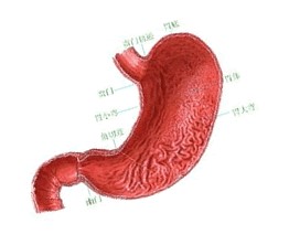 ���Ű�����������Щע������