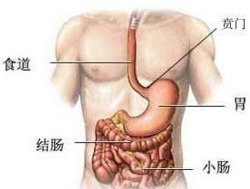 贲门癌常见诊断方法有哪些