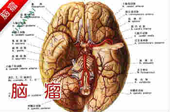 ֱ֢࣬ҩ
