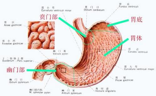 ���Ű����ڴ��Ŀ���