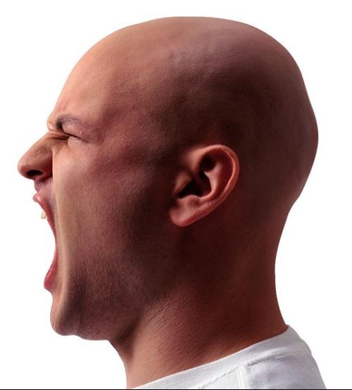 ҹʹתƵҪ