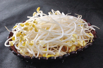 豆芽