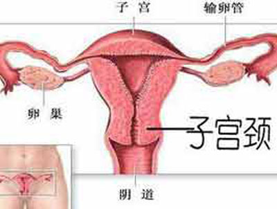 ȷѡӹĤƷ