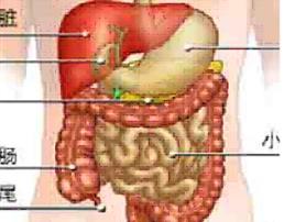 ֱʱڵĵ֢״