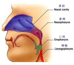 鼻癌的最明显症状_喉癌放疗需要多少钱