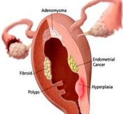 ���ӹ����ķ�����صĲ�֢