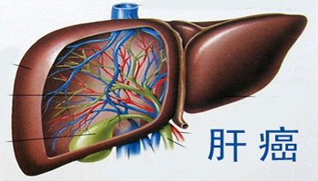 肺癌中期化疗 肺癌中期化疗