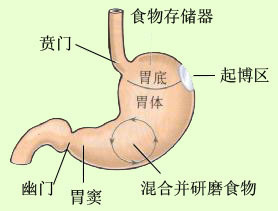 胃癌转移后还能手术治疗吗