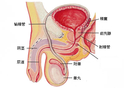 ǰٰƷЩ