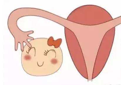 ӹĤƷ