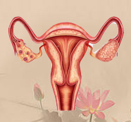 卵巢癌的治疗方法有几类