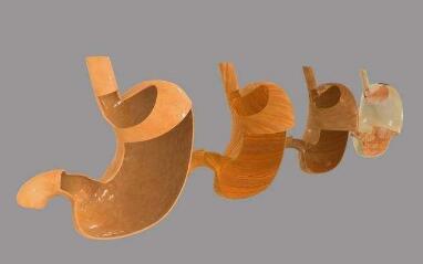 ŰĳƷʽ
