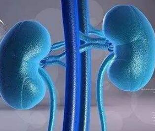 肾癌肺转移后怎么办