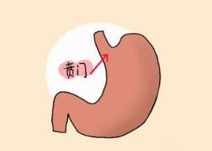 Űƺ