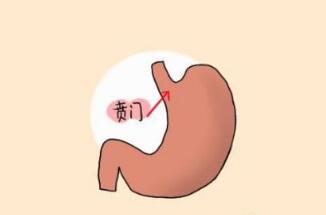 Űļ鷽ʽ