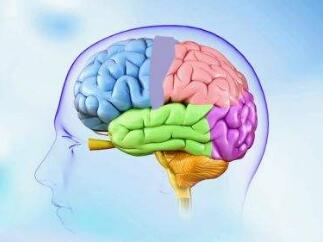 脑瘤中医的治疗方法