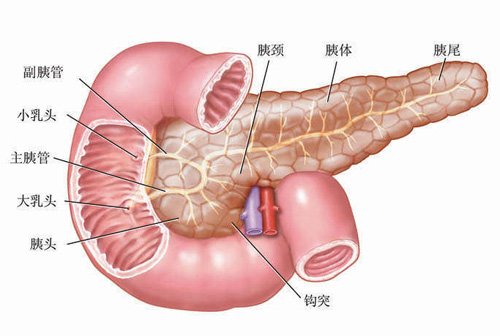 胰腺癌症状
