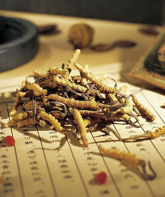 膀胱癌中医治疗