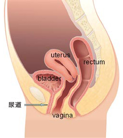 患上了尿道癌会出现哪些症状