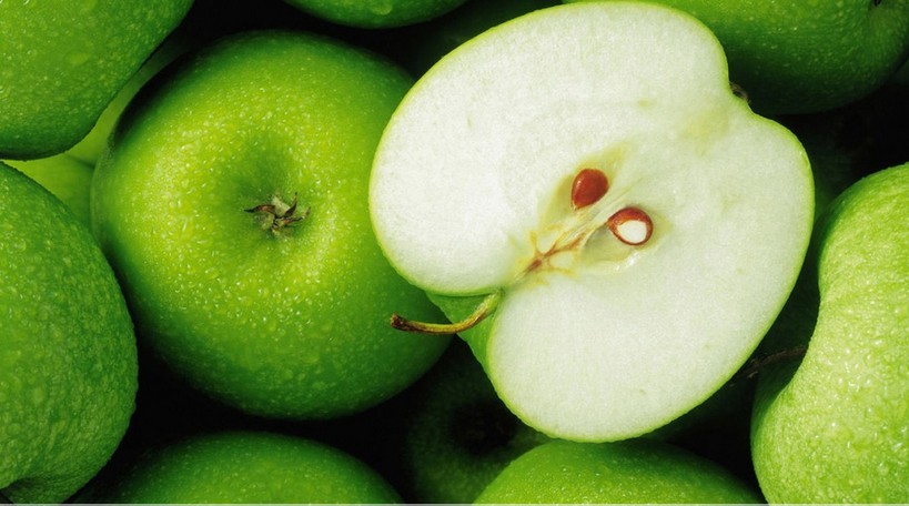 ���ƻ������Ԥ��θ��