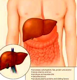 原发性肝癌(primary liver cancer,PLC)