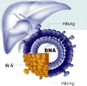 ΰо