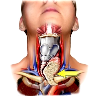 ��״�ٰ���ҽ����