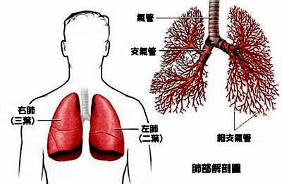 肺癌中医治疗
