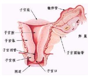 阴道癌