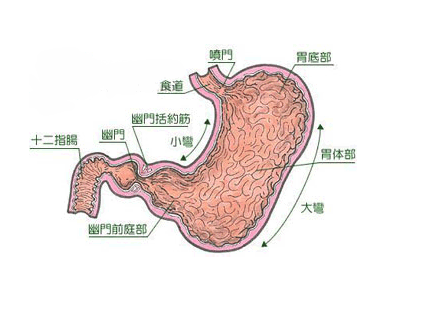 日常生活如何预防贲门癌