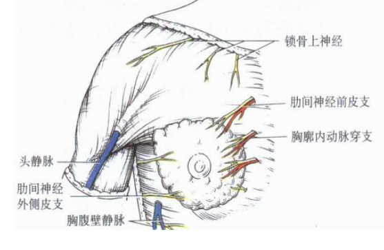 负面情绪也会导致女性乳腺癌?