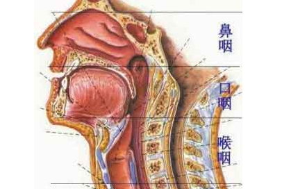 鼻咽癌术后需注意7项护理