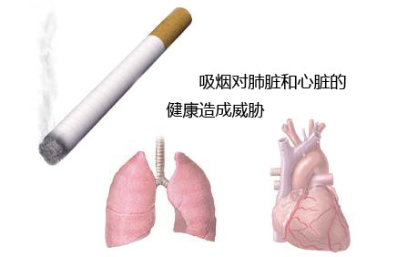 如何做好肺癌的饮食预防?