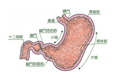 贲门癌并发症